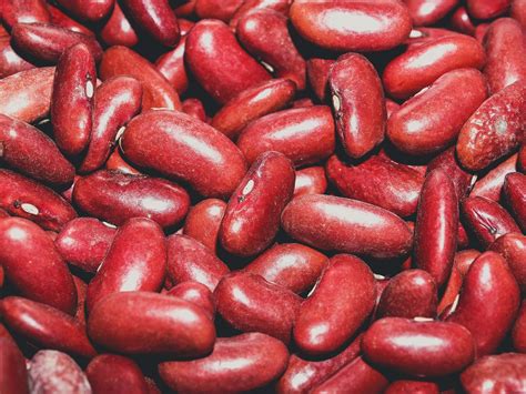 Close Up Red Beans Background Free Stock Photo - Public Domain Pictures