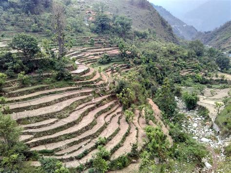 Culture of Uttarakhand - Dance, Festivals, Food