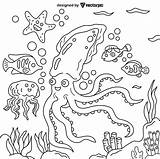 squid Coloring Pages For Kids & Adults Design Free Vector  VECTORPIC sketch template