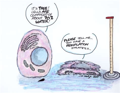 May 19th – cartoons for cell biology nerds – Good Science Writing