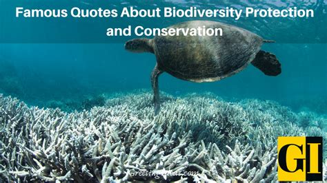 Famous Quotes About Biodiversity Protection and Conservation