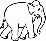 Free Elephant Coloring Pages sketch template