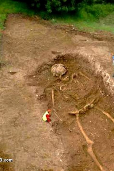 Largest Human Skeleton Ever Found National Geographic