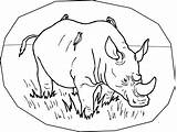 Free Printable Rhinoceros Coloring Pages For Kids sketch template