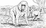 Baboon Family coloring page  SuperColoringcom sketch template