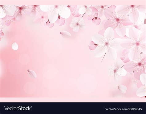 Blossoming light pink sakura flowers Royalty Free Vector