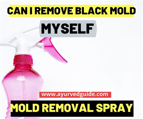 Black Mold Removal Process | Mold removal spray, Mold remover, Spray