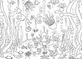 Under The Sea Coloring Page » Turkau sketch template
