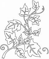 Ivy coloring Page  ColouringPages sketch template