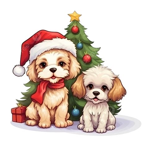 Little Pet Dog Balona With A Maltipoo Poodle Near The Christmas Tree On Christmas Night Watching ...
