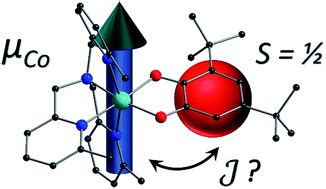 Single-ion anisotropy and exchange coupling in cobalt(ii)-radical complexes: insights from ...