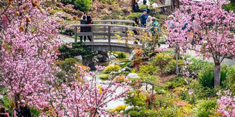 Landscape in Japanese Friendship Garden, Balboa Park, San Diego - San ...