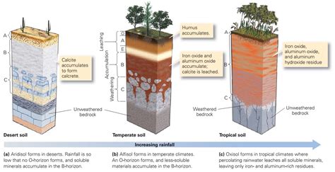 Soil ~ Learning Geology