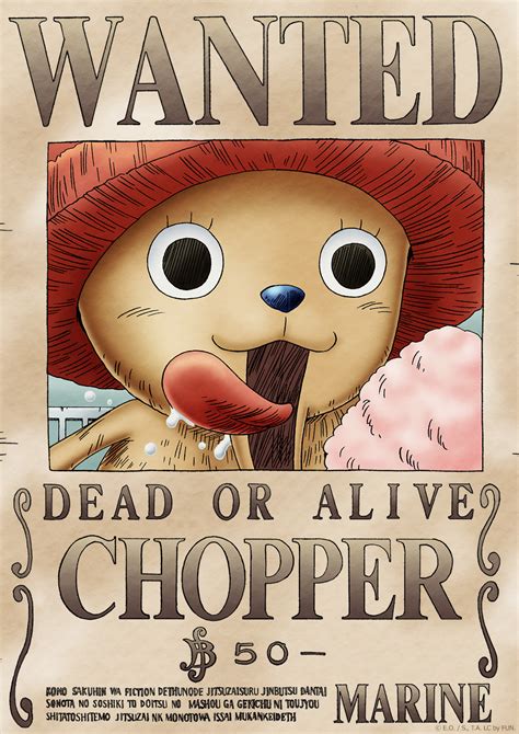 ONE PIECE WANTED: Dead or Alive Poster: Chopper ( Official Licensed ...