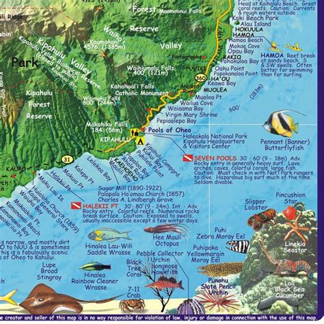 Maui Tourist Attractions Map