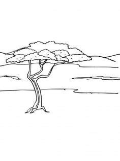 Acacia Tree in Savanna | African tree, Acacia tree, Tree coloring page