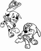 55 Marshall Paw Patrol Coloring Pages  ColoringPagesOnlycom sketch template