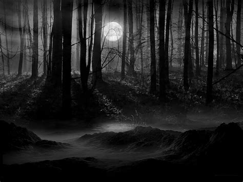 🔥 [30+] Dark Forest With Moon Wallpapers | WallpaperSafari