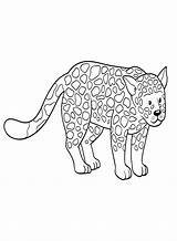 Simple Jaguar Coloring Page  Free Printable Pages sketch template