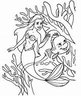 Ariel And Flounder With Corals Coloring Page  Free Printable sketch template