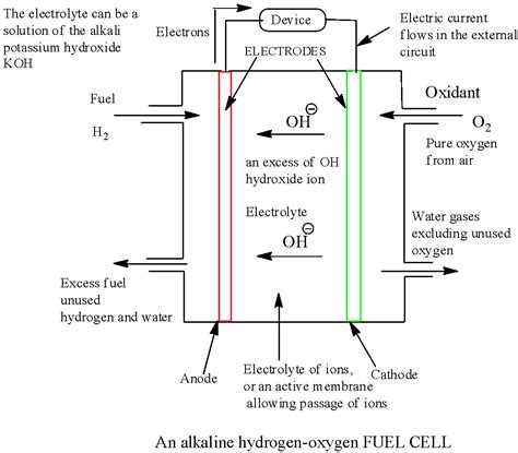 Draw a neat labelled diagram of ${H_2} - {O_2}$ fuel cell. Write the ...