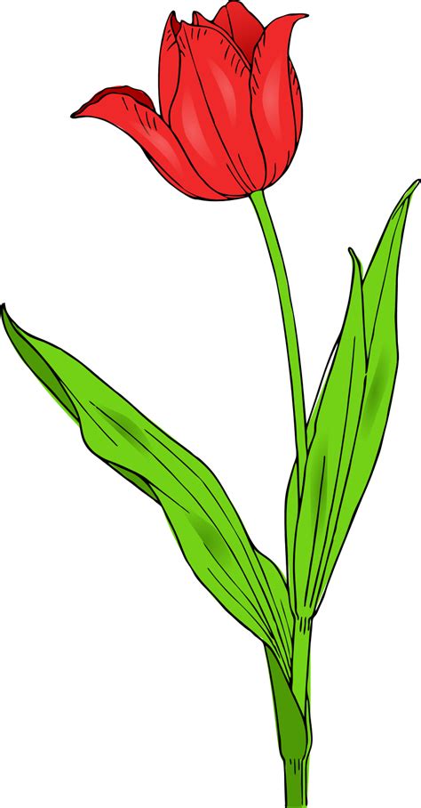 Free Microsoft Flowers Cliparts, Download Free Microsoft Flowers Cliparts png images, Free ...