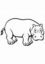Hippo Coloring Pages Printable sketch template