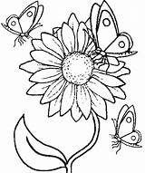 Sunflower coloring Pages  100 Free sketch template