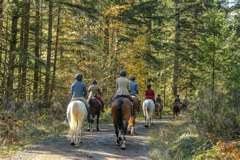 Tally Ho: Horse Show Dad Attends a Fox Hunt - The Plaid Horse Magazine