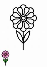 Free Zinnia Flower Coloring Page Template To Edit Online sketch template