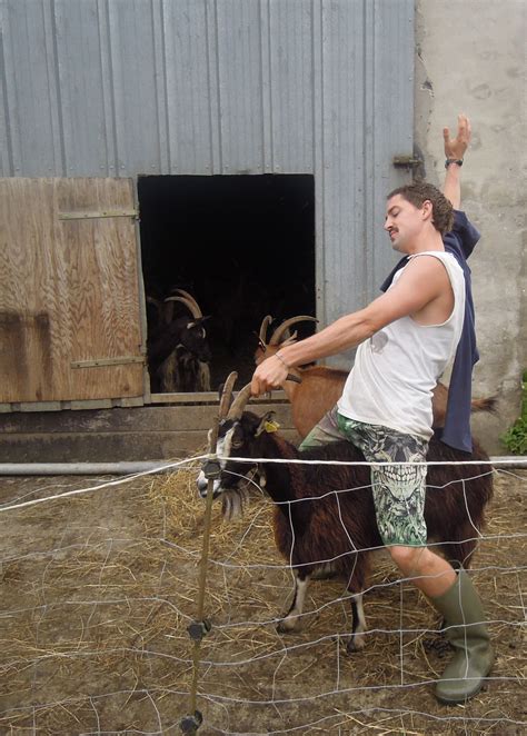 What can I say? This is simply a guy riding a goat | Blanket, Riding, Wool