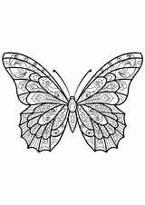 Butterfly Pictures To Color  Free Printable Butterfly Coloring Pages sketch template