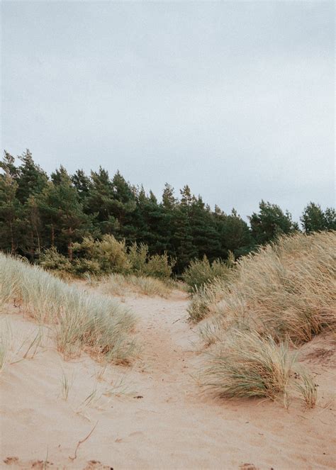 Landscape Photography of a Beach in Lithuania · Free Stock Photo