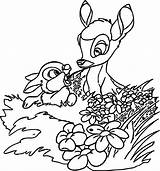 Bambi And Flower Coloring Pages  Cartoon coloring sketch template