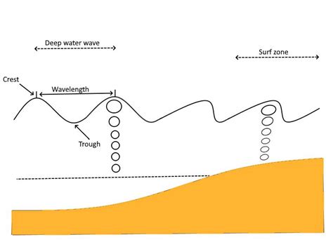 On the figure, label the surf zone, a wave crest and a troug | Quizlet