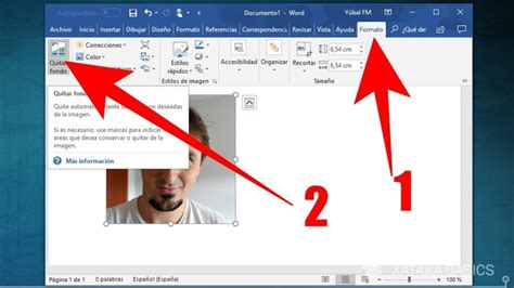 Cómo eliminar el fondo de una foto en Word