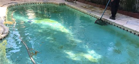 Pool Algae Removal treatment in Las Vegas | Pool Algae Service in Henderson.