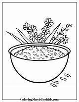 Rice Coloring Pages Free Printables  Sheets For Kids sketch template