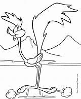 Road Runner And Coyote Coloring Pages sketch template