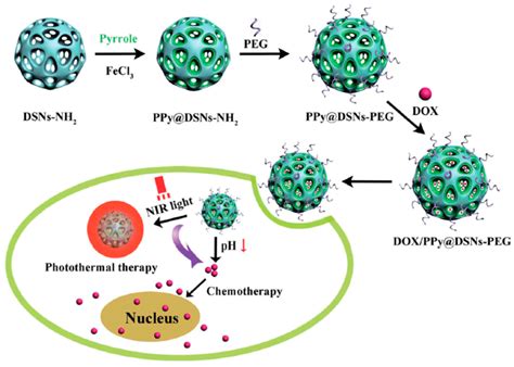 Polymers | Free Full-Text | Emerging Multifunctional NIR Photothermal Therapy Systems Based on ...