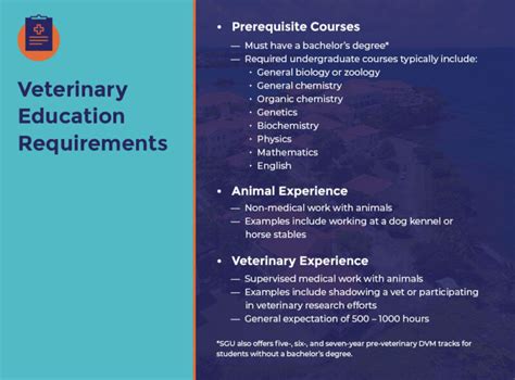 Breaking Down Veterinary Education Requirements - Veterinary Blog