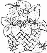 Berries In A Basket Strawberriesgooseberriesraspberries Doodle  sketch template