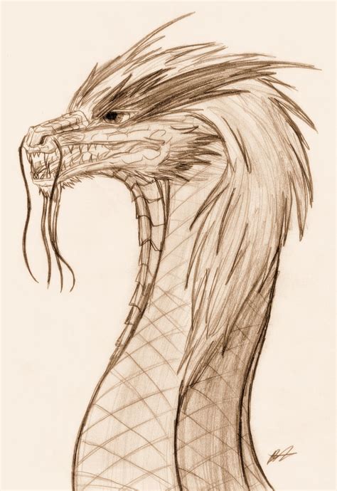 Eastern Dragon Sketch by Kyuubi0017 on DeviantArt