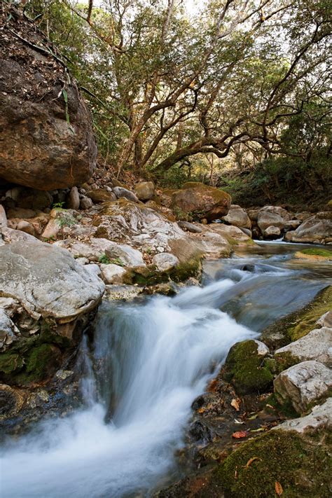 Hacienda Guachipelin (Map, Images and Tips) | Seeker