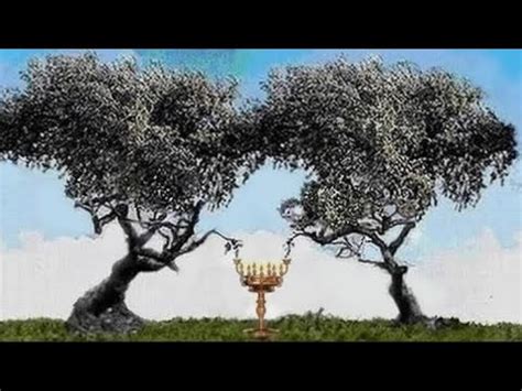 Zechariah 4 - Lampstand Between the Olive Trees - YouTube