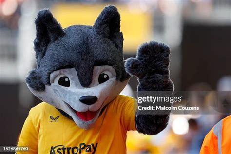 The new-look Wolverhampton Wanderers mascot "Wolfie" during the... News Photo - Getty Images