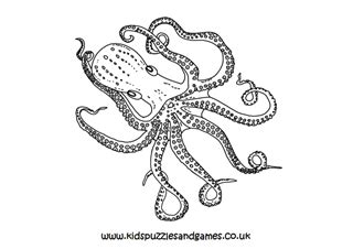 Octopus - Kids Puzzles and Games