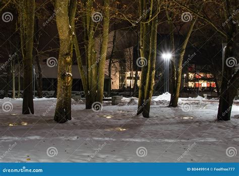Winter Night Photography City Park Stock Photo - Image of restaurant, builded: 80449914