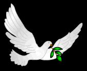peace dove clip art - kamaci images - Blog.hr