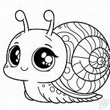 45 Snail Coloring Pages  Free PDF Download sketch template